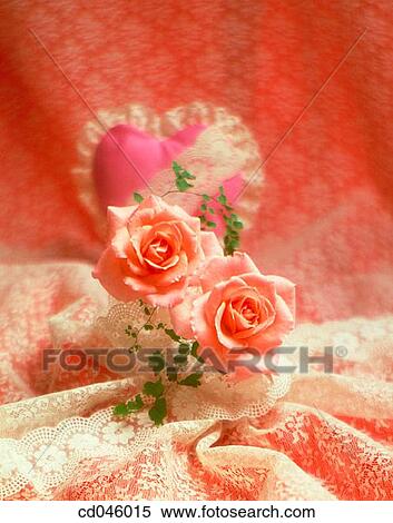 Close-up, concept, flower, indoors, interior View Large Photo Image Stock Photography - Close-up, concept, flower, indoors, interior. Fotosearch
