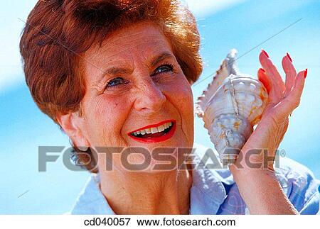 Close-up, conch, contemporary View Large Photo Image Stock Photo - Close-up, conch, contemporary. Fotosearch