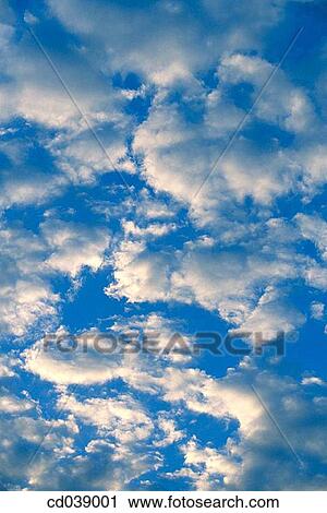cloud, altocumulus, blue, background, atmosphere, air View Large Photo Image Stock Image - cloud, altocumulus, blue, background, atmosphere, air. Fotosearch