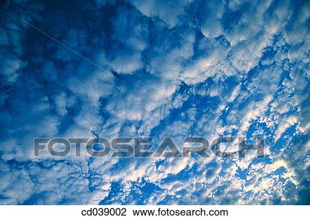 cloud, altocumulus, blue, background, atmosphere, air View Large Photo Image Stock Image - cloud, altocumulus, blue, background, atmosphere, air. Fotosearch