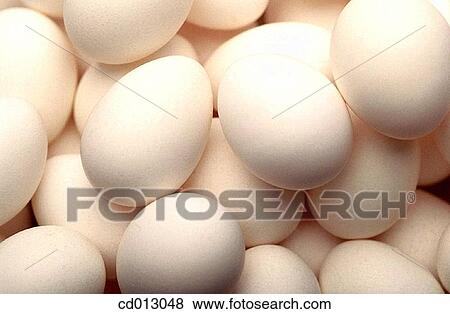 Eggs View Large Photo Image Stock Photo - Eggs. Fotosearch