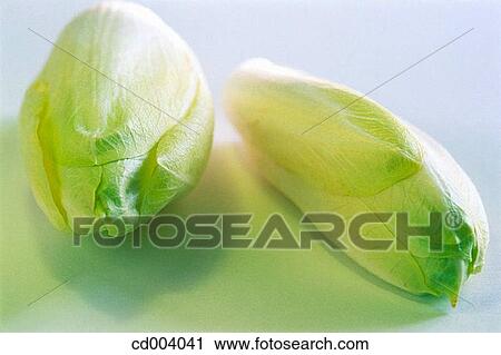 Endives View Large Photo Image Stock Image - Endives. Fotosearch