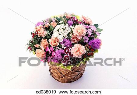 Flowers View Large Photo Image Stock Photo - Flowers. Fotosearch