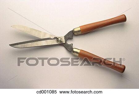 Hedge shears View Large Photo Image Stock Photography - Hedge shears. Fotosearch