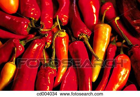 Hot peppers View Large Photo Image Picture - Hot peppers. Fotosearch
