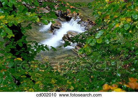 Irati River. Irati Forest. Navarre. Spain View Large Photo Image Stock Image - Irati River. Irati Forest. Navarre. Spain. Fotosearch