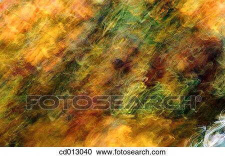 Leaves View Large Photo Image Stock Image - Leaves. Fotosearch