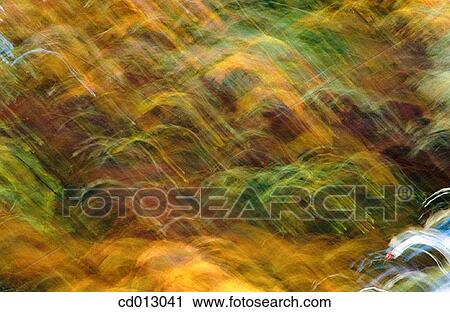 Leaves View Large Photo Image Stock Image - Leaves. Fotosearch