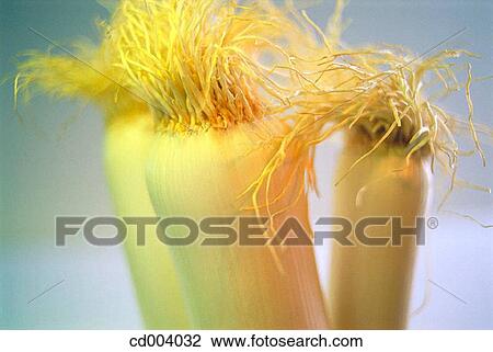 Leeks View Large Photo Image Stock Image - Leeks. Fotosearch