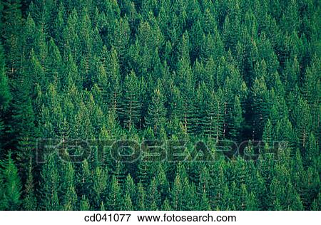 Stock Photo - Legazpi. Guip·zcoa. Spain. Fotosearch