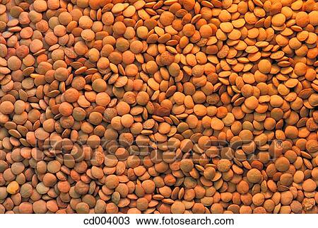 Lentils View Large Photo Image Stock Image - Lentils. Fotosearch