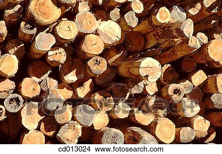 Logs View Large Photo Image Picture - Logs. Fotosearch