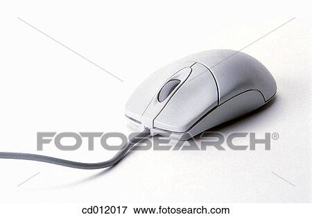 Stock Photo - Mouse. Fotosearch