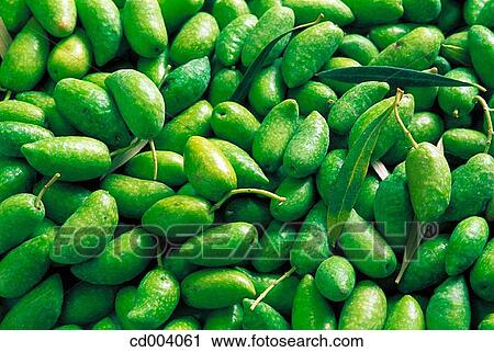 Stock Image - Olives. Fotosearch