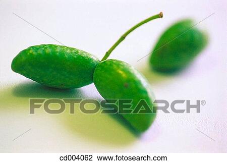 Olives View Large Photo Image Stock Image - Olives. Fotosearch