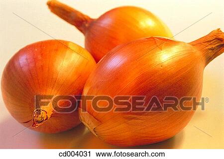 Stock Image - Onions. Fotosearch