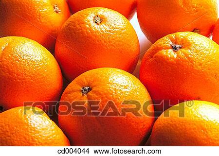 Picture - Oranges. Fotosearch