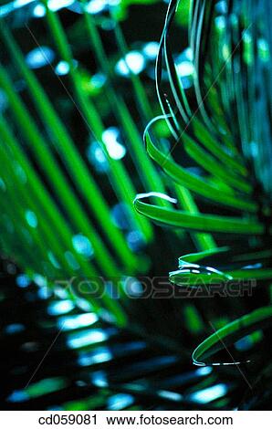 Palm View Large Photo Image Stock Image - Palm. Fotosearch