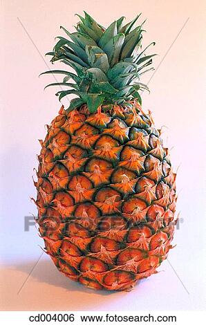 Pineapple View Large Photo Image Stock Photograph - Pineapple. Fotosearch