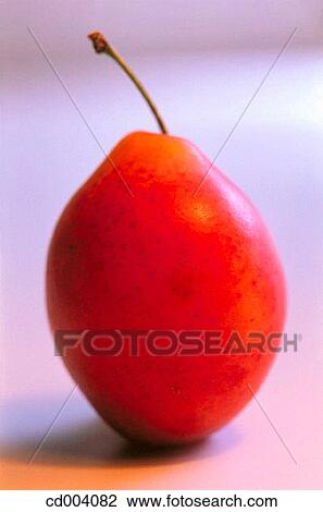 Plum View Large Photo Image Stock Image - Plum. Fotosearch