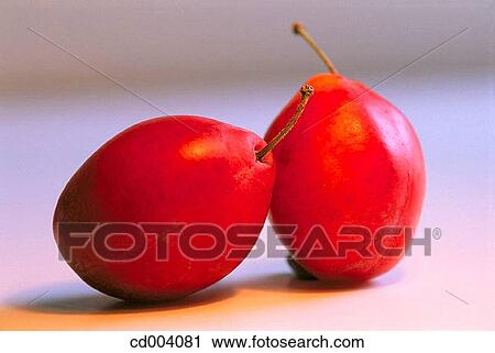Plums View Large Photo Image Stock Image - Plums. Fotosearch