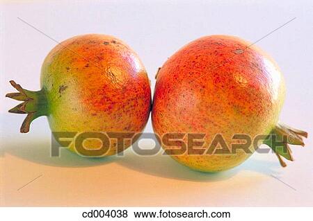 Pomegranate View Large Photo Image Stock Photo - Pomegranate. Fotosearch