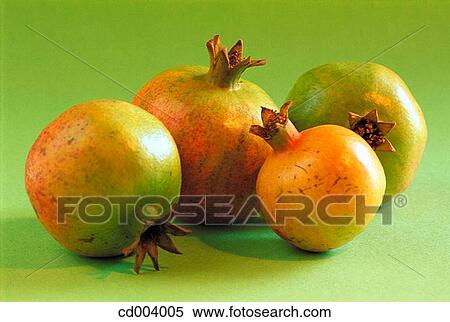 Stock Photography - Pomegranates. Fotosearch