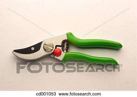 Pruning shears View Large Photo Image Stock Image - Pruning shears. Fotosearch
