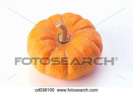 Pumpkin View Large Photo Image Stock Image - Pumpkin. Fotosearch