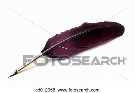 Quill View Large Photo Image Stock Photo - Quill. Fotosearch