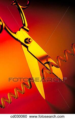 Scissors cutting telephone cable View Large Photo Image Stock Image - Scissors cutting telephone cable. Fotosearch