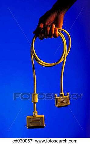 SCSI cable View Large Photo Image Stock Photo - SCSI cable. Fotosearch