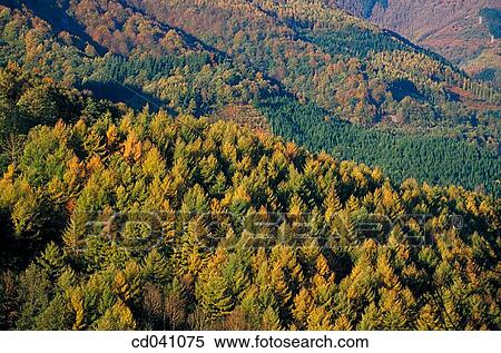 Sierra de Aitzgorri. Guip·zcoa. Spain View Large Photo Image Stock Photography - Sierra de Aitzgorri. Guip·zcoa. Spain. Fotosearch