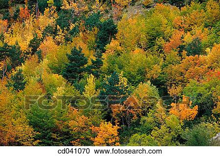 Sierra de Aspe. Valle de Aisa. Huesca province. Spain View Large Photo Image Stock Image - Sierra de Aspe. Valle de Aisa. Huesca province. Spain. Fotosearch