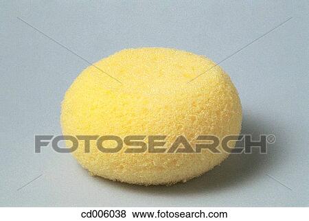 Sponge View Large Photo Image Stock Photo - Sponge. Fotosearch