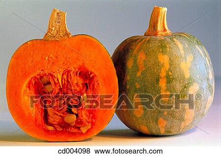 Squash View Large Photo Image Stock Photo - Squash. Fotosearch