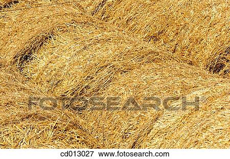 Straw View Large Photo Image Stock Photo - Straw. Fotosearch