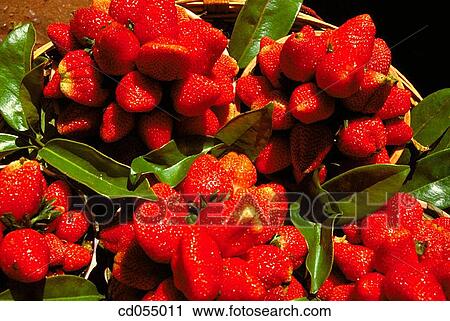 Strawberries View Large Photo Image Stock Image - Strawberries. Fotosearch