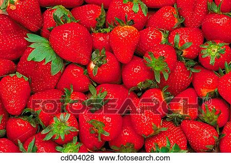 Strawberries View Large Photo Image Stock Photo - Strawberries. Fotosearch