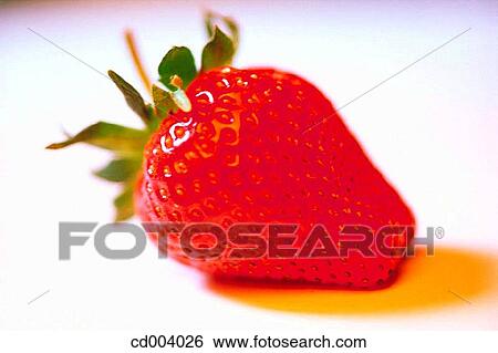 Strawberry View Large Photo Image Stock Photograph - Strawberry. Fotosearch