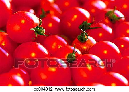 Stock Image - Tomatoes. Fotosearch