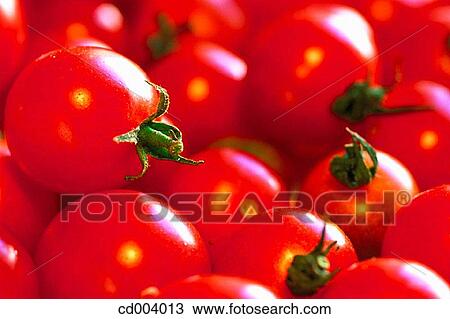 Tomatoes View Large Photo Image Stock Image - Tomatoes. Fotosearch