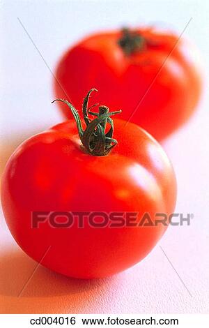 Tomatoes View Large Photo Image Stock Photograph - Tomatoes. Fotosearch