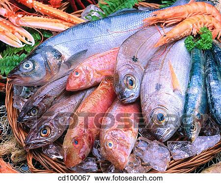 abundant, Close-up, Bream, Blue-lined goatfish, abundance View Large Photo Image Stock Photo - abundant, Close-up, Bream, Blue-lined goatfish, abundance. Fotosearch