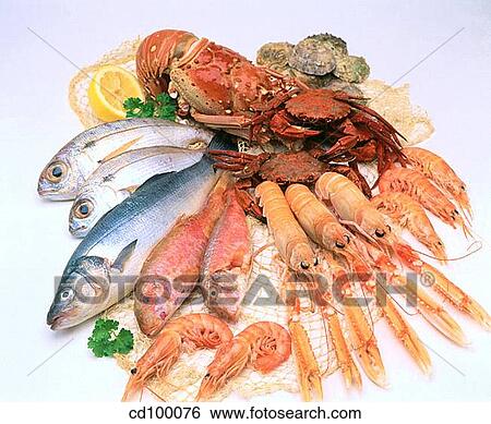 abundant, Close-up, Bream, Blue-lined goatfish, abundance View Large Photo Image Stock Photograph - abundant, Close-up, Bream, Blue-lined goatfish, abundance. Fotosearch