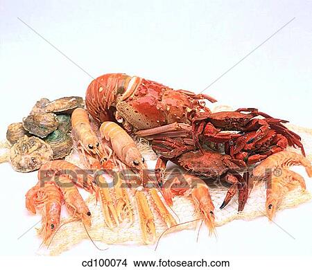 abundant, Crabs, Crab, Close-up, abundance View Large Photo Image Picture - abundant, Crabs, Crab, Close-up, abundance. Fotosearch