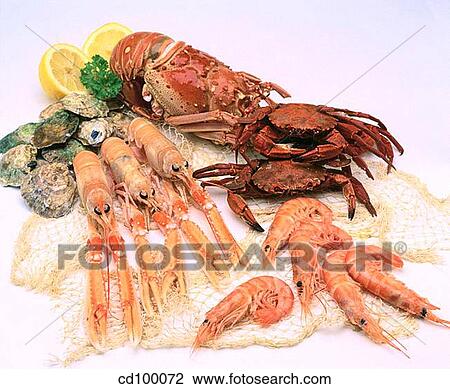 abundant, Crabs, Crab, Close-up, abundance View Large Photo Image Stock Image - abundant, Crabs, Crab, Close-up, abundance. Fotosearch