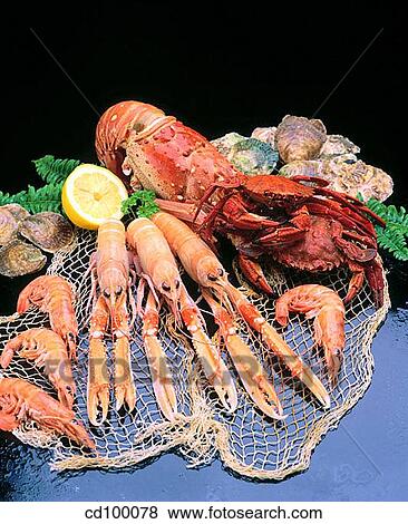 abundant, Crabs, Crab, Close-up, abundance View Large Photo Image Stock Photo - abundant, Crabs, Crab, Close-up, abundance. Fotosearch