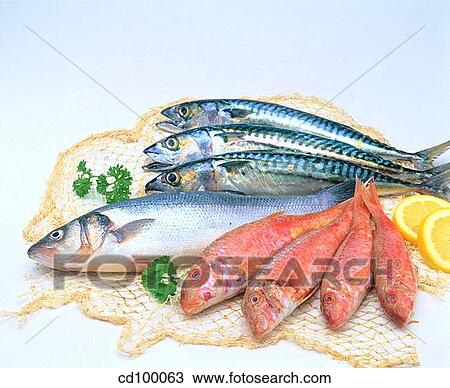abundant, cuisine, Close-up, Blue-lined goatfish, abundance View Large Photo Image Stock Image - abundant, cuisine, Close-up, Blue-lined goatfish, abundance. Fotosearch