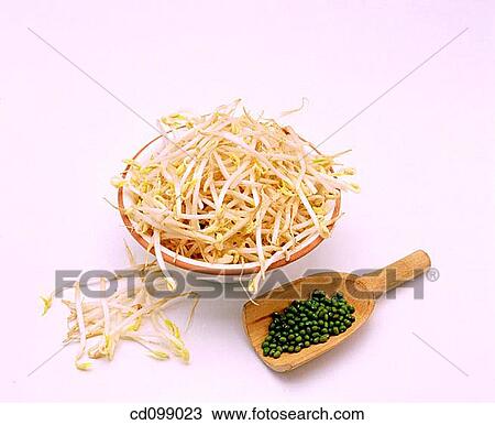 abundant, cuisine, Close-up, bowl, abundance View Large Photo Image Stock Image - abundant, cuisine, Close-up, bowl, abundance. Fotosearch